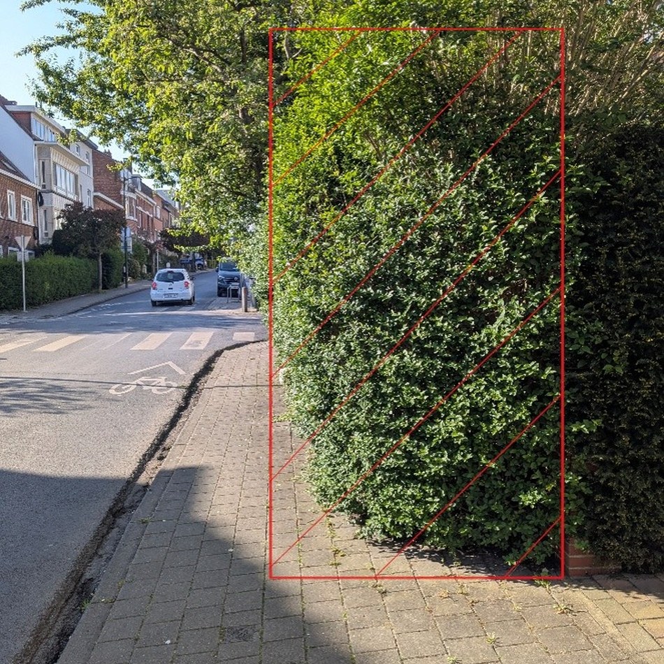 Haie_Trottoir_site.jpg