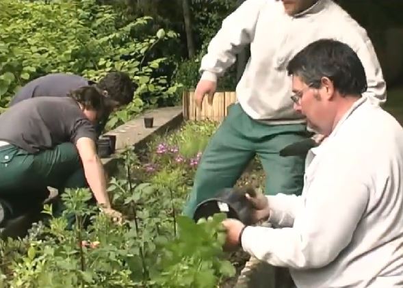 vidéojardiniers