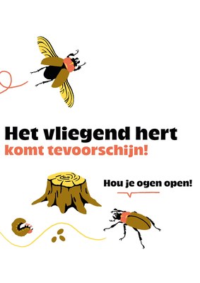 Het vliegend hert