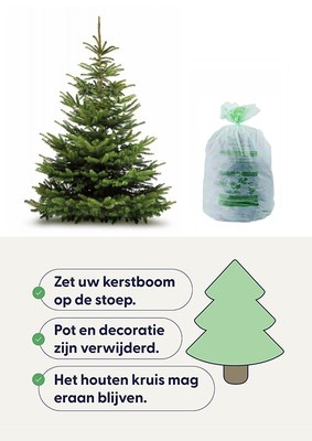 Kerstboomophaling: het seizoen is geopend!